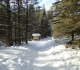 Goat creek