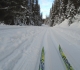 Goat creek