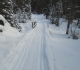 Goat creek