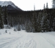 Goat creek