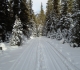 Goat creek