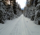 Goat creek