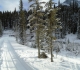 Goat creek