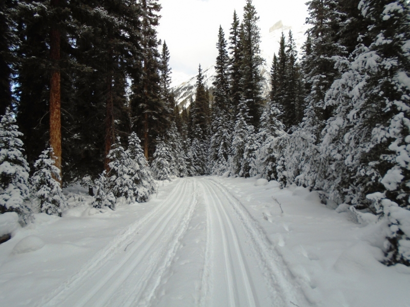 Goat creek