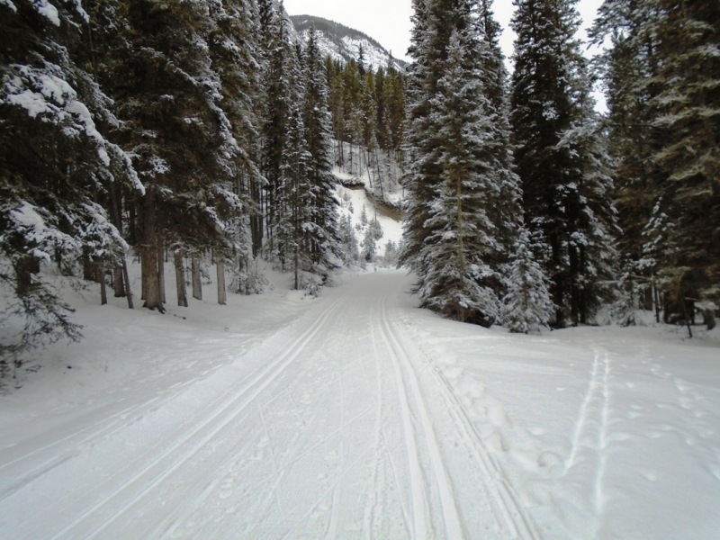 Spray river west