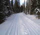 Goat creek