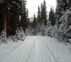 Goat creek