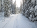 Goat creek
