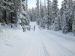 Goat creek