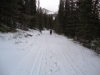 The Goat Creek trail gets lots of use from walkers and snowshoers