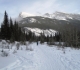 Goat creek