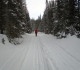 Goat creek