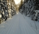 Goat creek