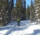 Goat Creek