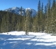 Goat Creek