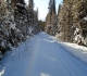 Goat Creek