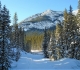 Goat Creek