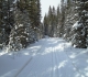 Goat Creek