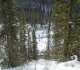 Goat Creek