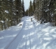 Goat Creek
