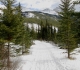 Goat creek
