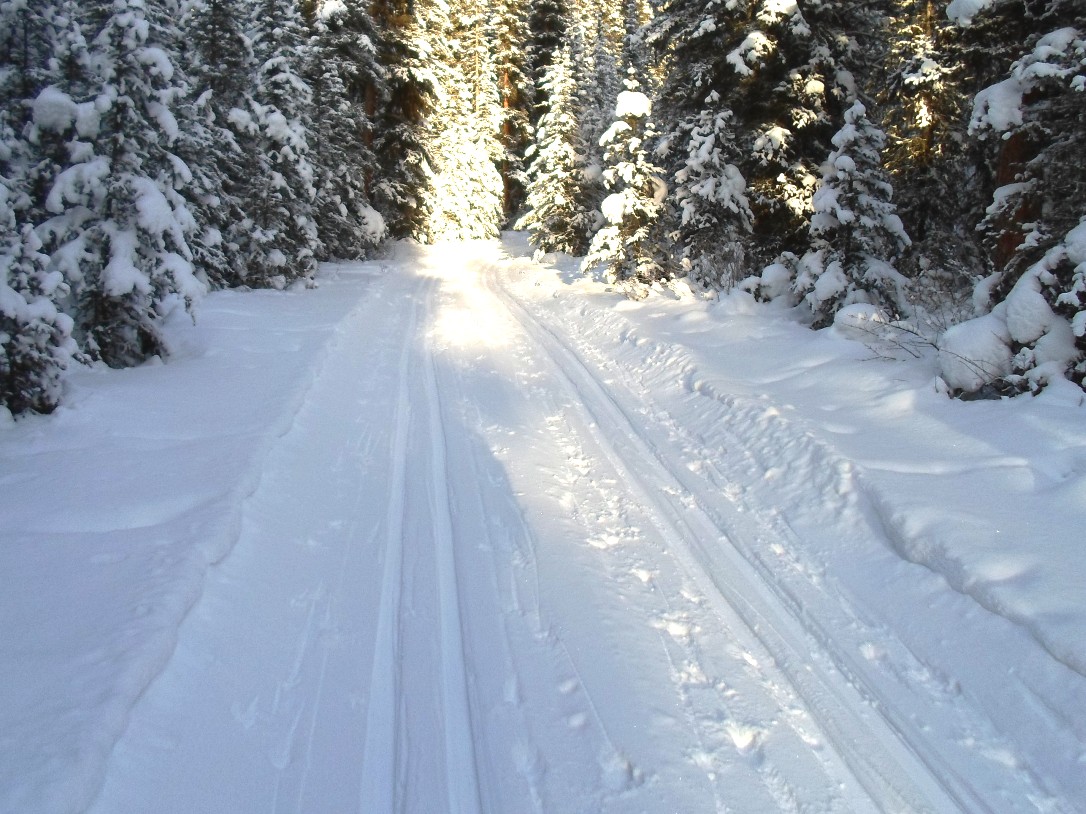 Goat creek