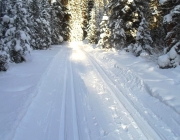 Goat creek