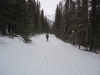 After yesterday\'s snow, the tracks were skied-in and in good shape - and fast.