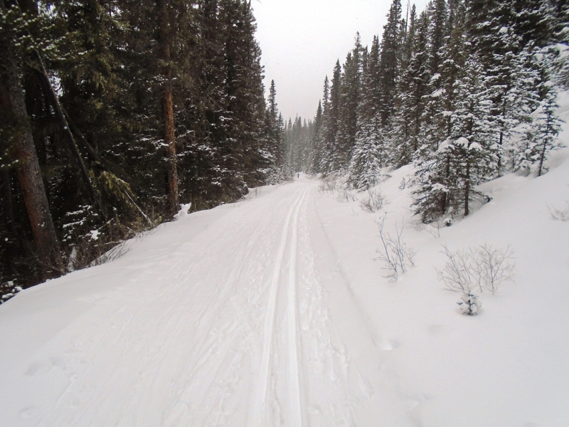 Goat Creek