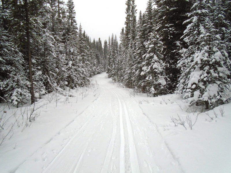 Goat Creek