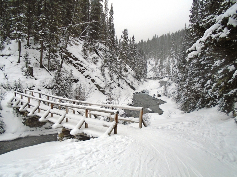 Goat Creek