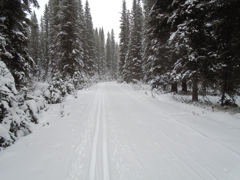 Spray River West