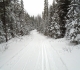 Goat Creek