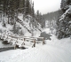 Goat Creek