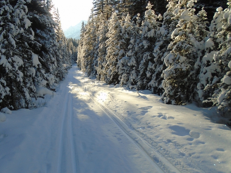 Goat creek