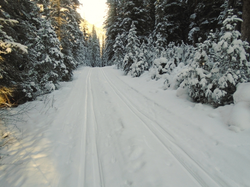 Goat creek