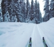 Goat creek