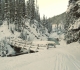 Goat creek