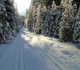Goat creek