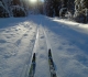 Goat creek