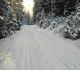 Goat creek