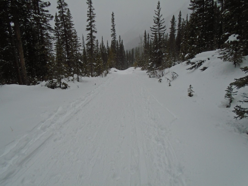 Goat Creek