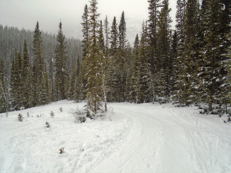 Goat Creek