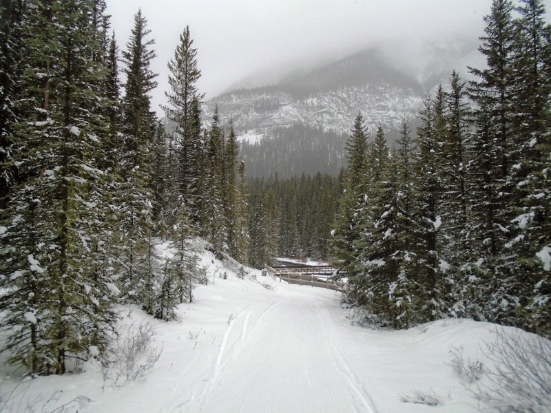 Goat Creek