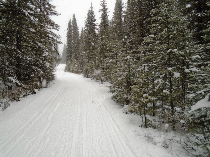 Spray River West