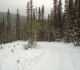 Goat Creek