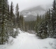 Goat Creek