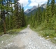 Goat Creek