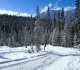 Goat Creek