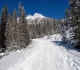 Goat Creek